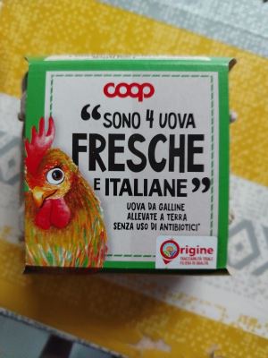4 uova fresche 