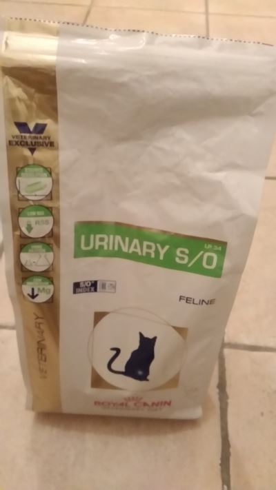 Urinary s/o