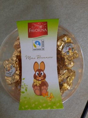 Mini bunnies