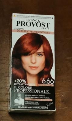 Il colore professionale 6.66