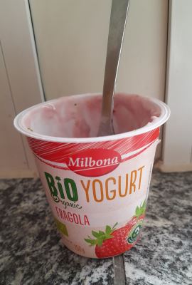 Yogurt bio  fragola