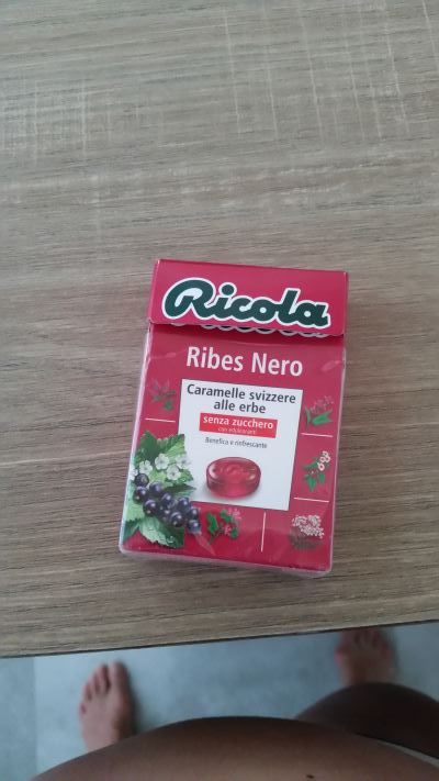 Ribes nero