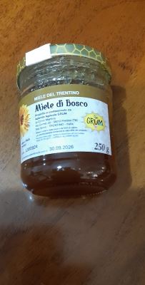 Miele di bosco