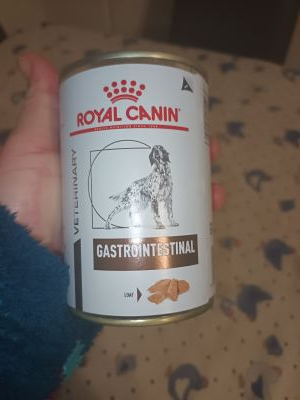 Cibo umido cane