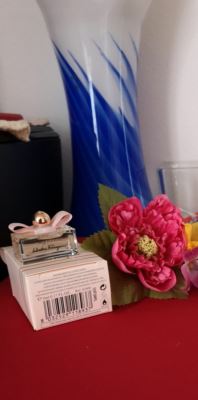 Signorina