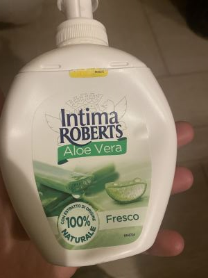 Aloe vera 